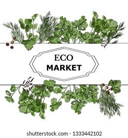 Frame of color  hand drawn sketch of  different green herbs and spices. Temlate for design banner, menu, tag. Vector illustration isolated on white background.