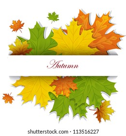 Frame with colored autumn maple leaves. Vector.