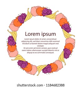Frame of colorful fruits on empty space background.  With space for text. Vector art. 