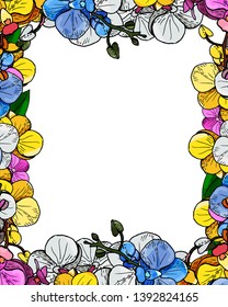 
frame with colorful sprigs of blooming orchids