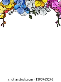 frame with colorful sprigs of blooming orchids