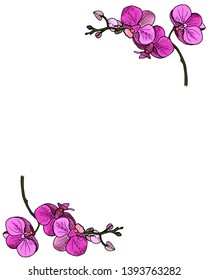 frame with colorful sprigs of blooming orchids