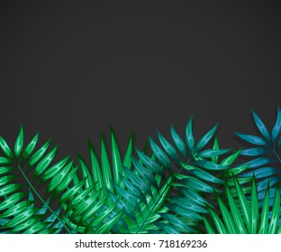 Frame of colorful tropical leaves. Concept of the jungle for the design of invitations, greeting cards and wallpapers. Vector illustration
