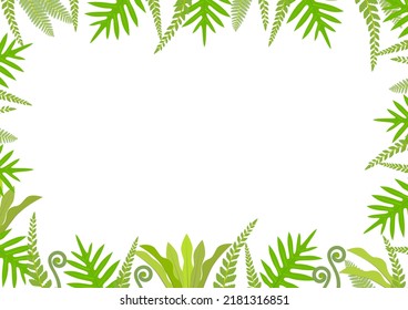 Frame combining green ferns of various shapes