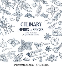 frame composed of hand drawn herbs and spices on white background, vector illustration