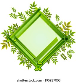frame with the composition of the leaves of various sizes in shades of green and white background