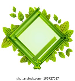 frame with the composition of the leaves of various sizes in shades of green and white background