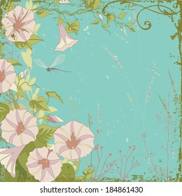Frame composition with morning glory