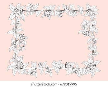 frame for congratulation with roses