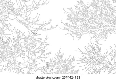 Frame of contours bare branches of trees, with copy space. Vector illustration