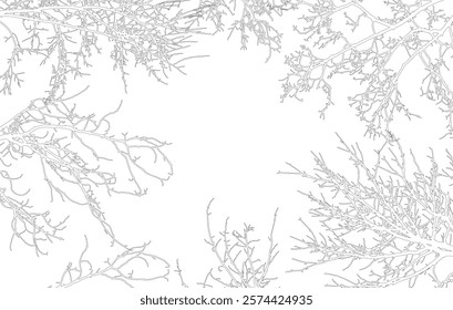 Frame of contours bare branches of trees, with copy space. Vector illustration