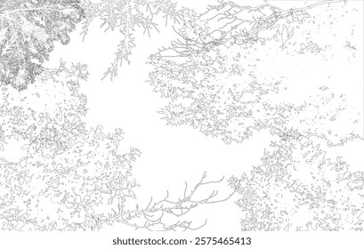 Frame with copy space, contour of deciduous branches of trees. Vector illustration