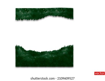 Marco con espacio de copia. Ventana de texto. Mancha abstracta con estructura de escala de dragón en color esmeralda. Fondo blanco con un borde esmeralda para el texto. Vector