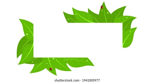 Frame Corner Banner With Red Ladybugs And Green Leaves With Water Drops Isolated Vector Illustration Art