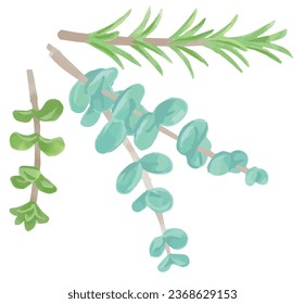 Frame corner with watercolor herbs. Vector illustration.