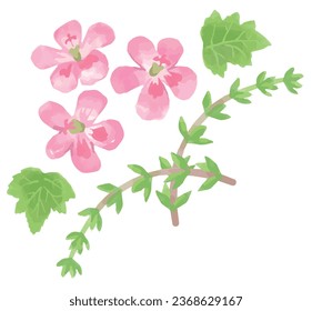 Esquina de marco con hierbas acuáticas. Ilustración vectorial.