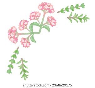 Frame corner with watercolor herbs. Vector illustration.