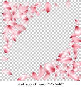 Frame corners border of flying petals isolated on transparent grid invitation background, flower parts wedding decorative frame. Pink blossom elements, flower petals valentines day background border.