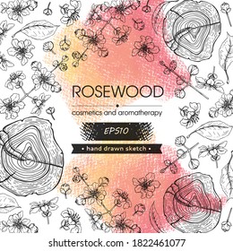 Frame with cut of a Rosewood and twigs with flowers and buds . Detailed hand-drawn sketches, vector botanical illustration.  For menu, label, packaging design