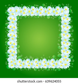 Frame with daisies