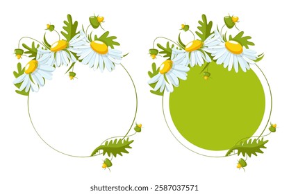 Frame with daisies and green leaves. Graphic decor for invitations, cards, labels, stickers.