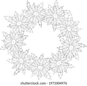 Frame daisies greeting card flowers graphics lines black and white vector illustration