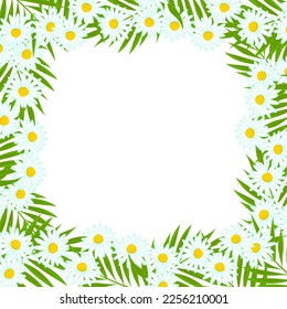 A frame with daisies. Vector border in the flat style. The template is waiting for the design.