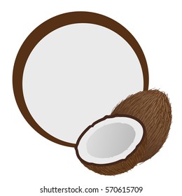 Frame decorated with coconuts. Vector illustration.