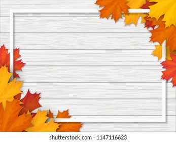 Frame decorated of fallen maple leaves. Autumn foliage on the white background of a wooden vintage table surface. Realistic vector illustration.