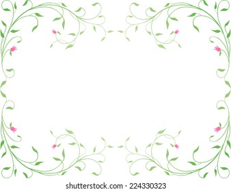 frame of the delicate plant