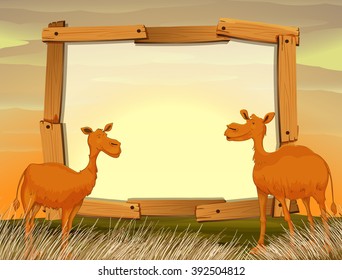 Frame design with camels in the field illustration