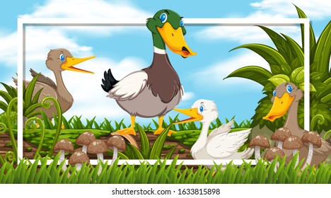 Frame design with ducks in the woods background illustration
