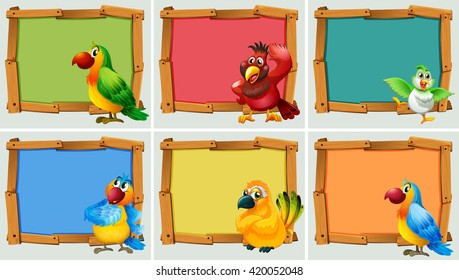 Frame design with parrots illustration