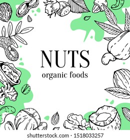 Frame design template with nuts, leaves and green spots. Hand drawn vector sketch illustration. Black and white outline graphic