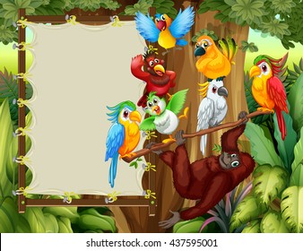 Frame designs with wild birds and monkey illustration