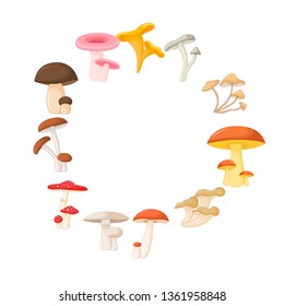 frame of different mushrooms, vector graphics. Beautiful frames