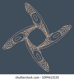 frame of dragonfly wings on a dark background