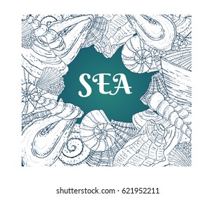 Frame drawing color seashells  with text sea