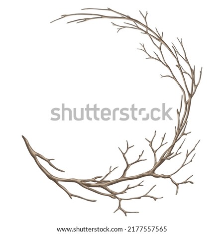 Frame with dry bare branches. Decorative natural twigs.