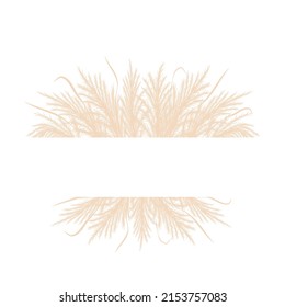 Frame with dry pampas grass. Border with beige cortaderia in boho style. Vector dried flowers isolated on white background. Trendy element design for invitations, postcards, social media.