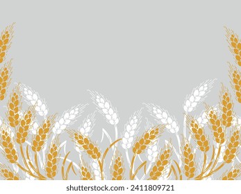 Frame of Ears of Wheat. Corner of Grain Spikes, Barley or Rye icon. Great for Bread Packaging, Design of Bakery, Beer labels etc. Vector Illustration