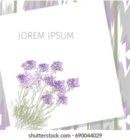 Frame with empty place for text or picture. White colored interior, with lavender flowers, Mock up.vECTOR