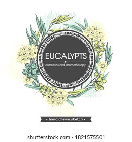 Frame with Eucalyptus leaves, young shoots and branches of eucalyptus with flowers, buds and seeds . Detailed hand-drawn sketches, vector botanical illustration.  For menu, label, packaging design