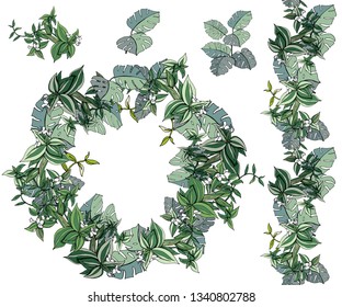 Frame with exotic flowers grown indoors. Template with tipical plants for home gardening.
