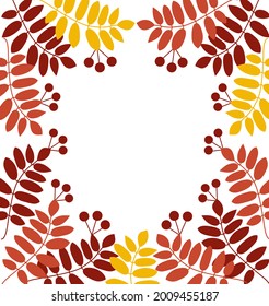 Frame of fallen autumn leaves and berries of shapes and colours. Seasonal fall greeting card.