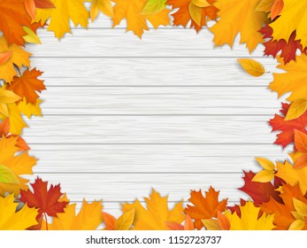 Frame of fallen maple leaves. Autumn foliage on the background of a white wooden vintage table surface. Realistic vector illustration.