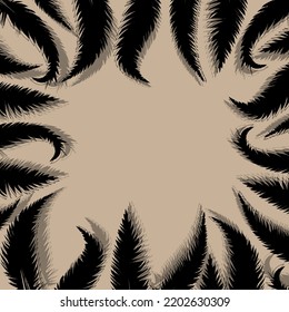 frame of feathers vector background bird illustration