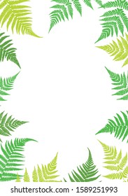 Frame of fern leaves. Botanical illustration with leaves. Design elements. Vector illustration.