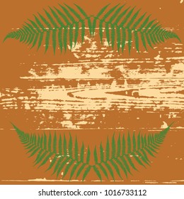 Frame of ferns on the background of old worn wooden boards. Vector illustration.