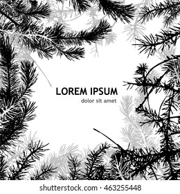 Frame with fir branches. Vector